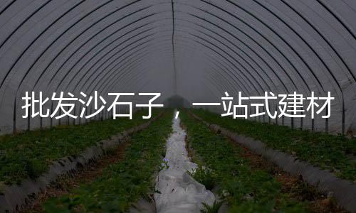 黄沙三文鱼价格广州、宁波港进口黄沙价格、越秀区黄沙价格、上海现在码头黄沙价格