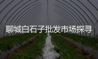 聊城白石子批发市场探寻国内最大的石材批发基地（聊城附近的石子厂家）